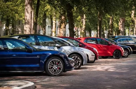 parking-voitures-arbres